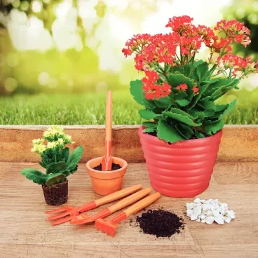 Conjunto para Jardinagem Tramontina 5